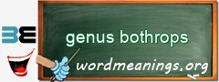 WordMeaning blackboard for genus bothrops